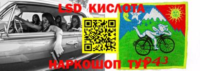 ПСИЛОЦИБИНОВЫЕ ГРИБЫ Абакан