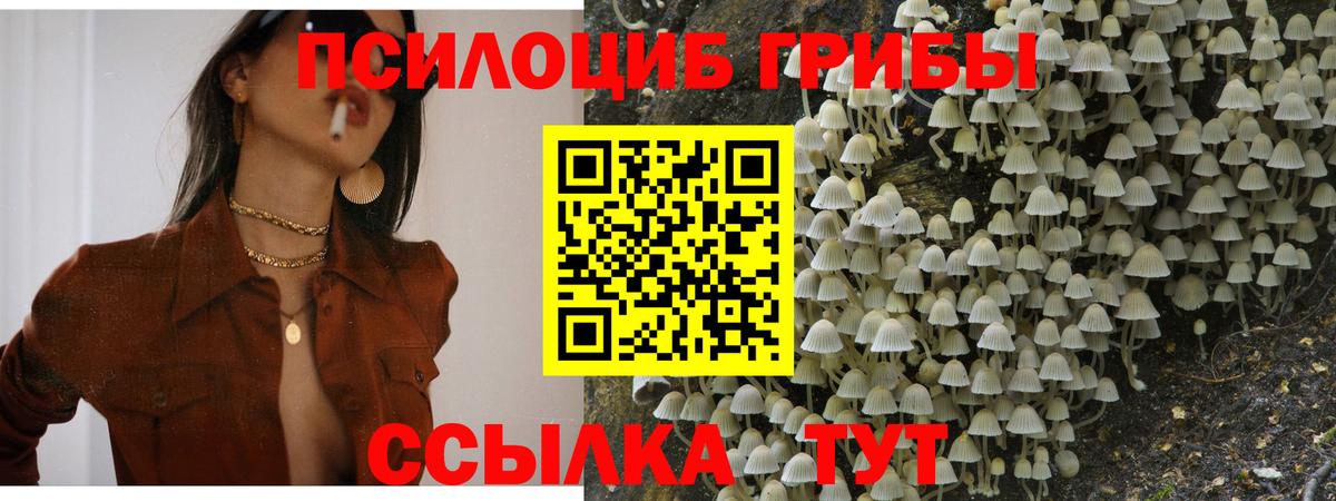 Псилоцибиновые грибы Magic Shrooms  купить наркоту  Вход с VPN  Анапа  Псилоцибиновые грибы Psilocybe 